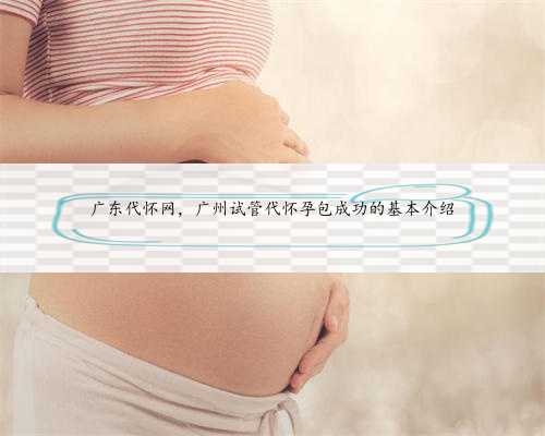广东代怀网，广州试管代怀孕包成功的基本介绍